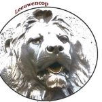 Profielfoto van Leeuwencop ActCare