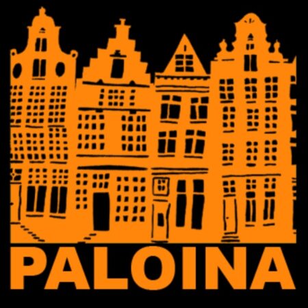 Foto van Internationaal Dansensemble Paloina